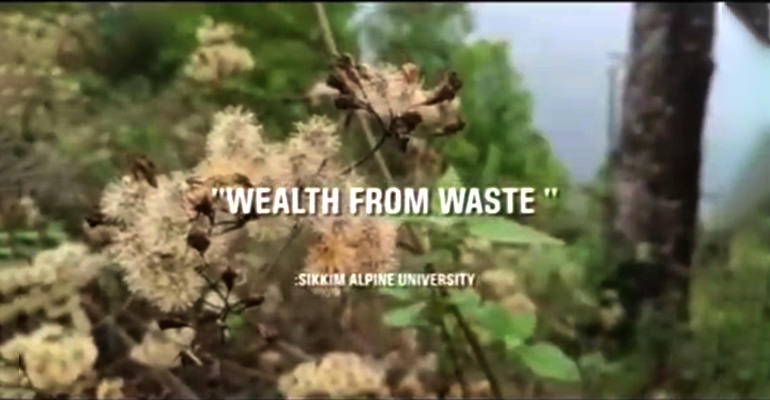 video-by-sau-students